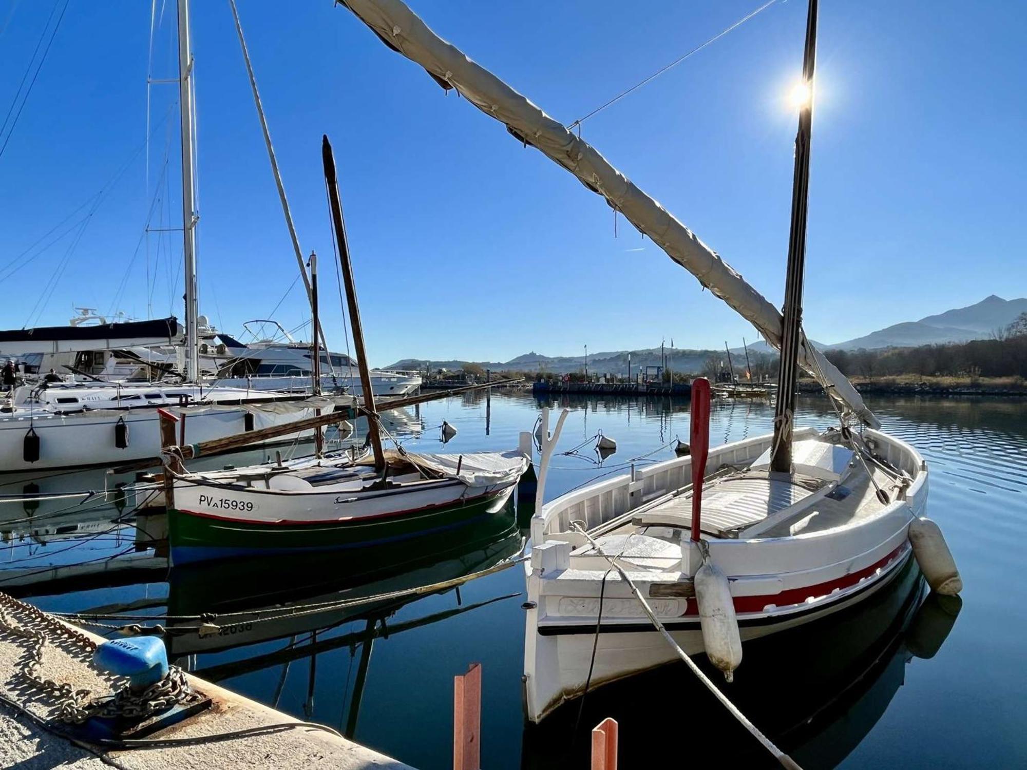 Appartement 2 Pieces, Balcon, Proche Plage Et Commerces, Quartier Calme - Argeles-Sur-Mer - Fr-1-225-685 Zewnętrze zdjęcie